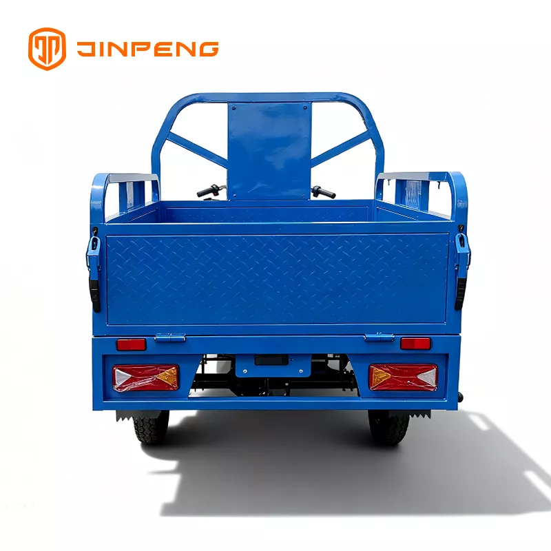 Electric Cargo Tricycle JG160 - 图片 2