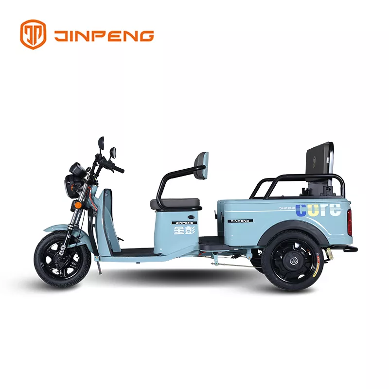 Electric Cargo Tricycle FY - Image 3