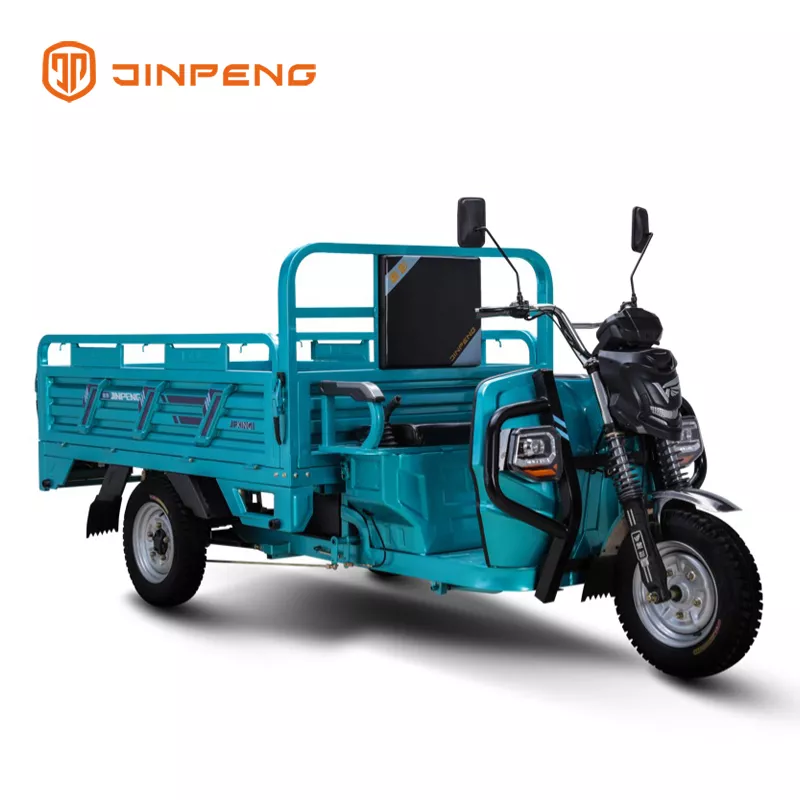 Electric Cargo Tricycle JG180 - 图片 3