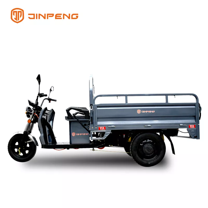 Electric Cargo Tricycle C-ZJ150 - Image 3