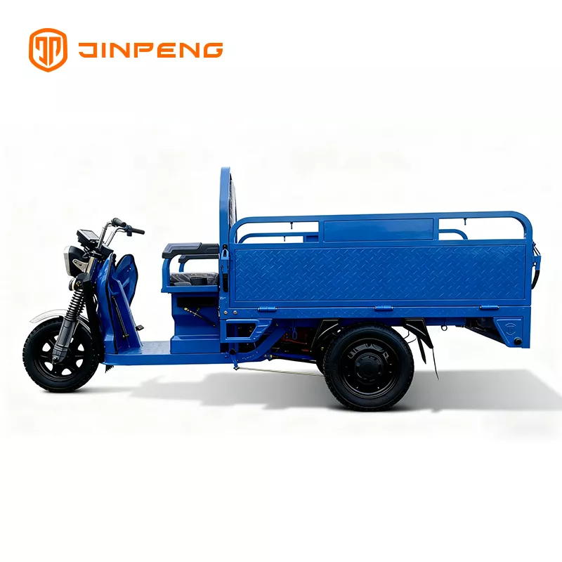 Electric Cargo Tricycle JG160 - 图片 3