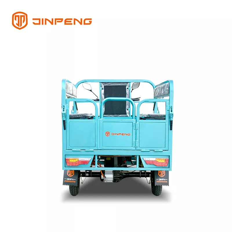 Electric Cargo Tricycle TY150UK - 图片 4