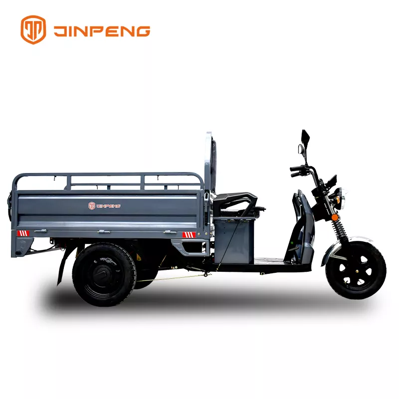 Electric Cargo Tricycle C-ZJ150 - Image 4