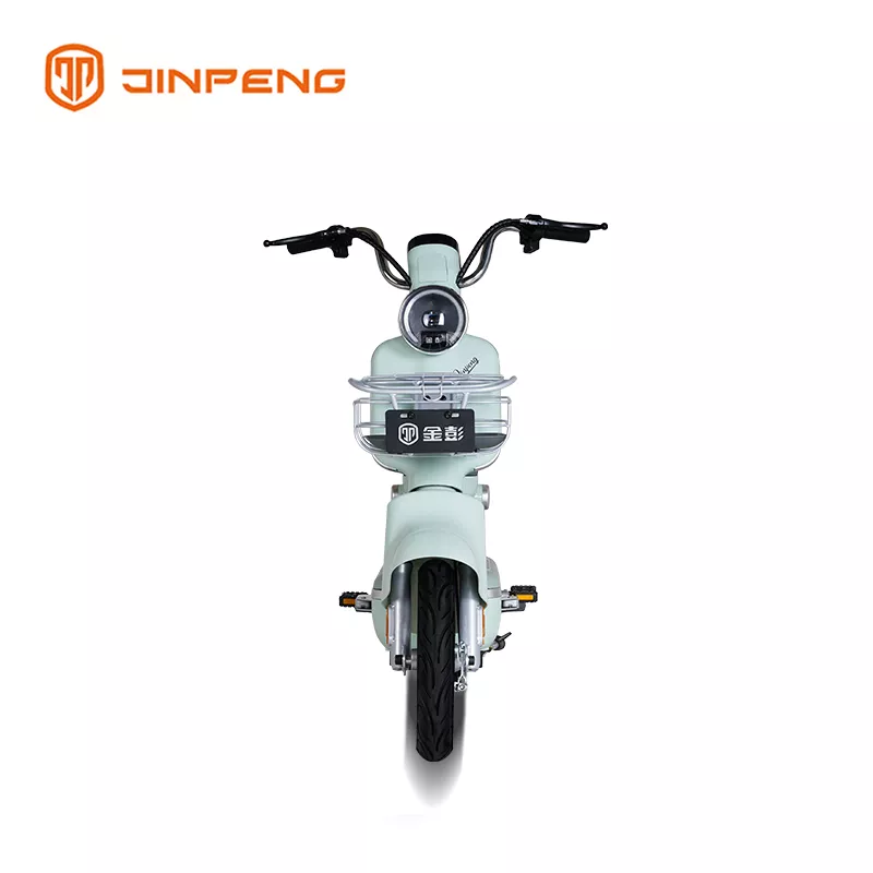 Electric Bike XTD - Image 3