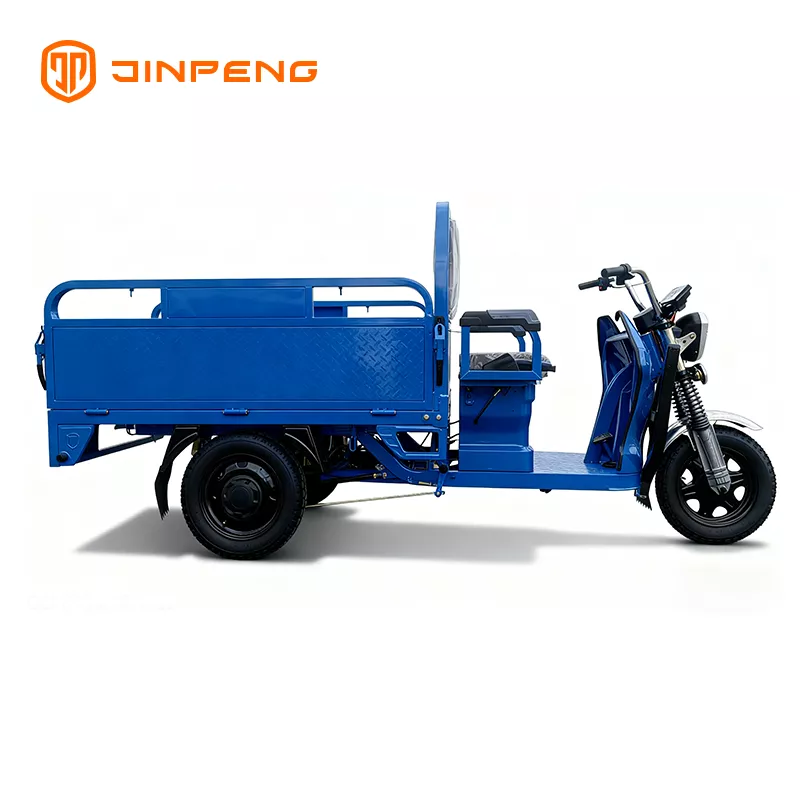 Electric Cargo Tricycle JG160 - 图片 4