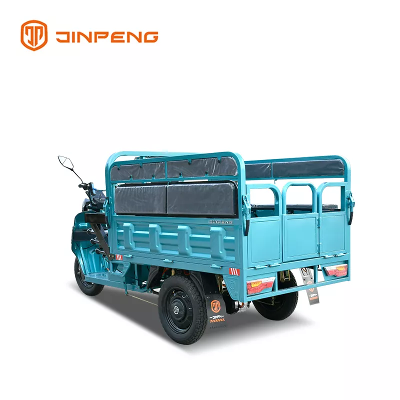 Electric Cargo Tricycle TY150UK - 图片 5