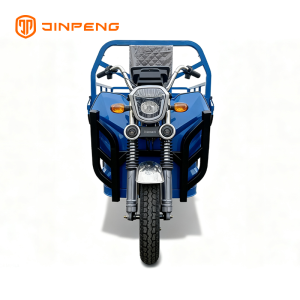 Electric Cargo Tricycle JG160